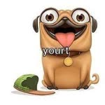 Yusuf