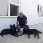 Metin