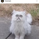 Onur