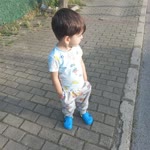 Arel