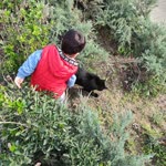 Ayhan