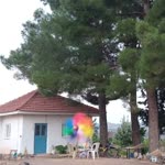 Veliddin
