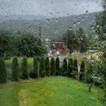 Bekir