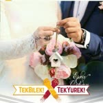 Orhan