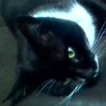 Latife