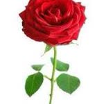 Ebru