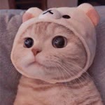 Nur