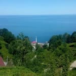 Filiz