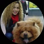 Rabia