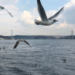 Onur