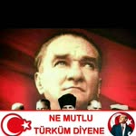 Aysel