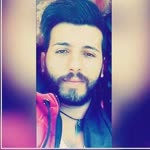 Şahin
