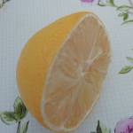 Tolga