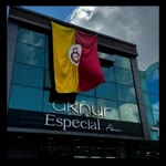 Veysel