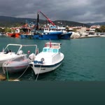 Selami