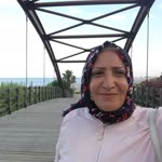 Havva