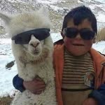 Gürkan