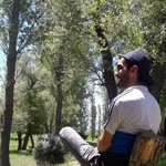 Bahar