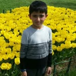 Erdal