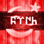 Engin