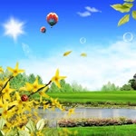 Muhammed