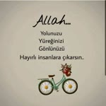 Zeynel
