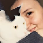 Şevval