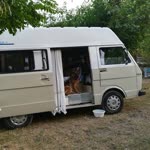 Erdal