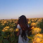 Ceren