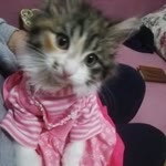 Zeynep