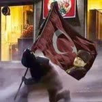 Türk