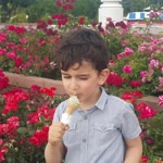 Kadir