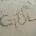 Gul