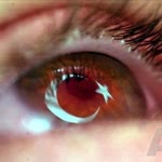 Şahin