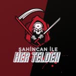 Şahin