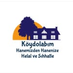 Köy