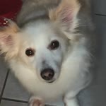 Sara