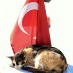 İlker