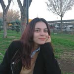Şimal