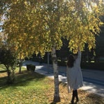 Zeynep