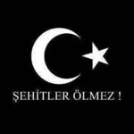 Şahin
