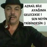 Halil