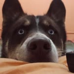 Profil fotoğrafı