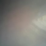Derya