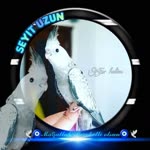 Seyit