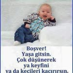 Servet