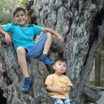 Fatih