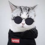Betül