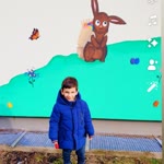 Hasi