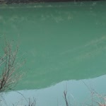 Tarık